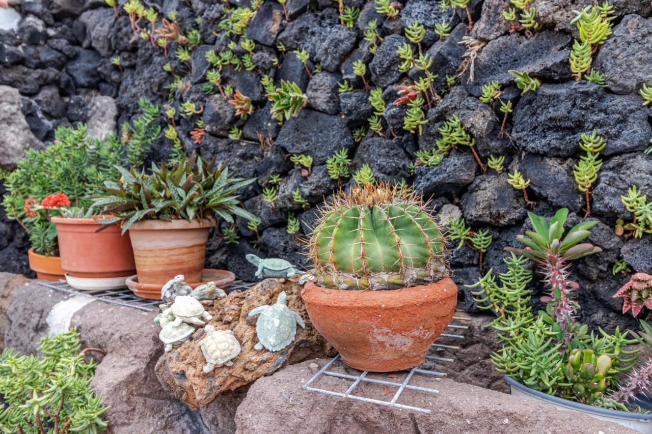 Casa Mari By Canariasgetaway Moya  エクステリア 写真